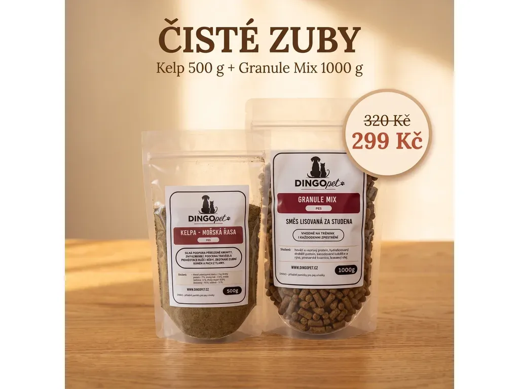 Balíček pro čisté zuby 1 balíček