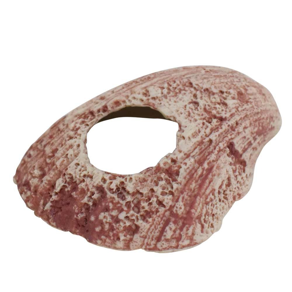 Nobby akvarijní dekorace MUŠLE 10,8 x 12,5 x 5 cm 1 balení