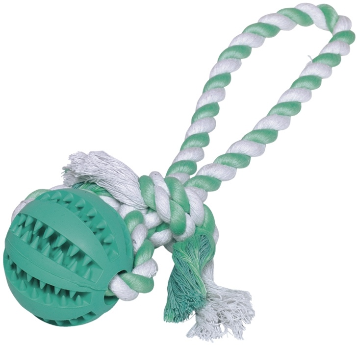 Nobby hračka pro psy Dental Line 30 x 7 cm 1 balení