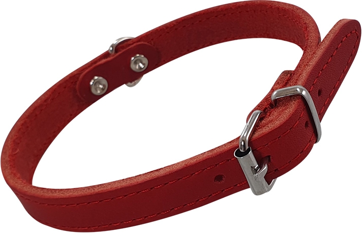 Nobby kožený obojek TABIL vel. S-M 33-39 cm červená 1 balení