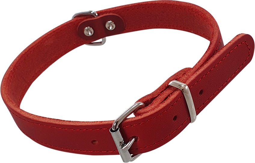Nobby kožený obojek TABIL vel. M 38-44 cm červená 1 balení