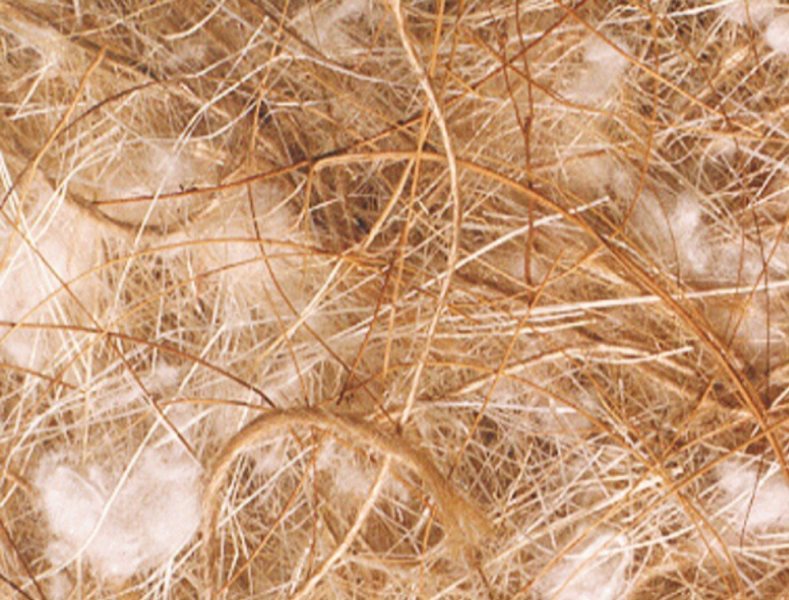 Nobby hnízdní materiál kokos-sisal-juta-bavlna 500g 1 balení