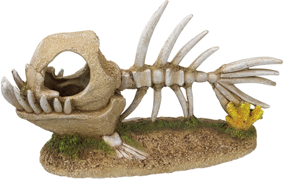 Nobby akvarijní dekorace Rybí kostra 22,8 x 8,5 x 13 cm 1 balení