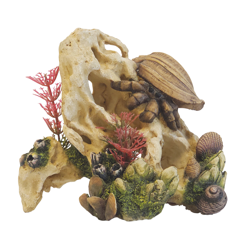 Nobby akvarijní dekorace MUŠLE NA KAMENI 13,9 x 8,9 x 12,2 cm 1 balení