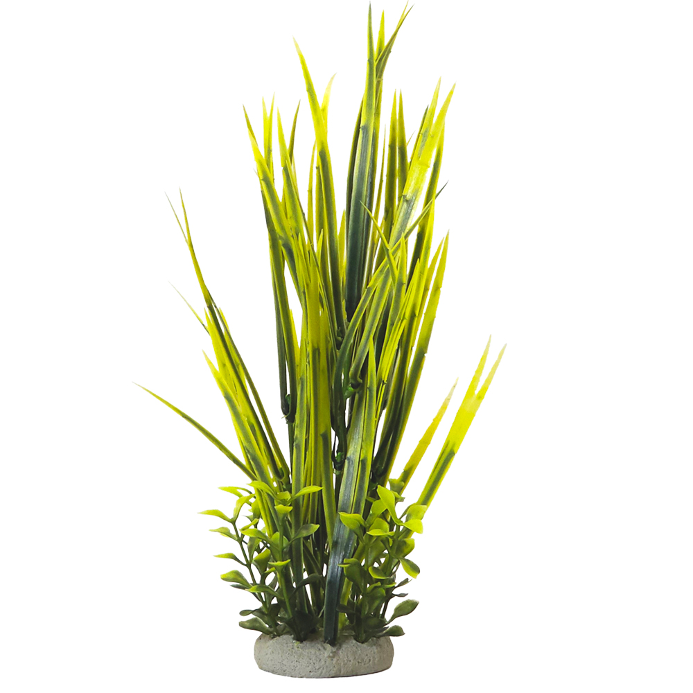 Nobby akvarijní dekorace VALLISNERIA 7 x 7 x 32,5 cm 1 balení