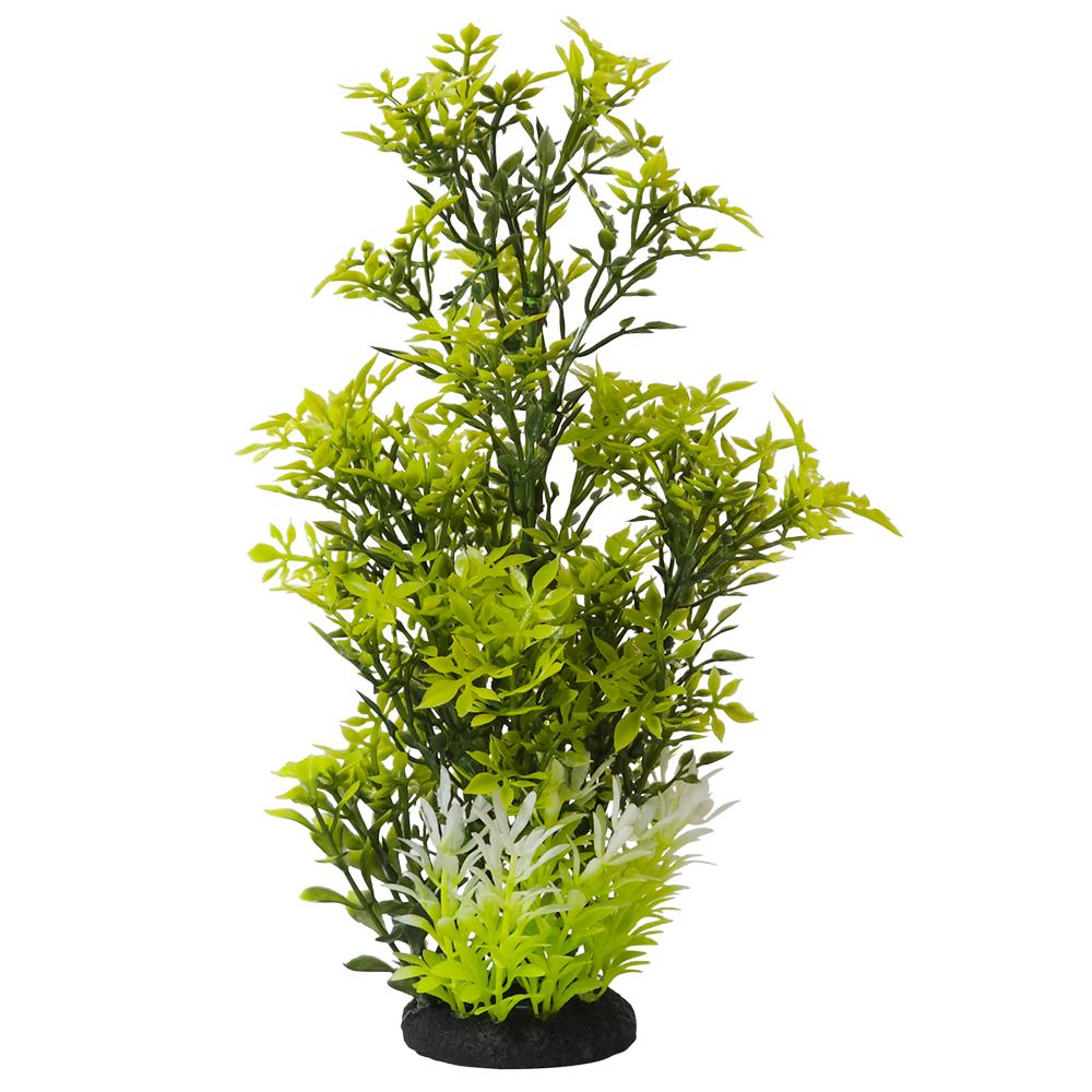 Nobby akvarijní dekorace ROTALA 7 x 7 x 27 cm 1 balení