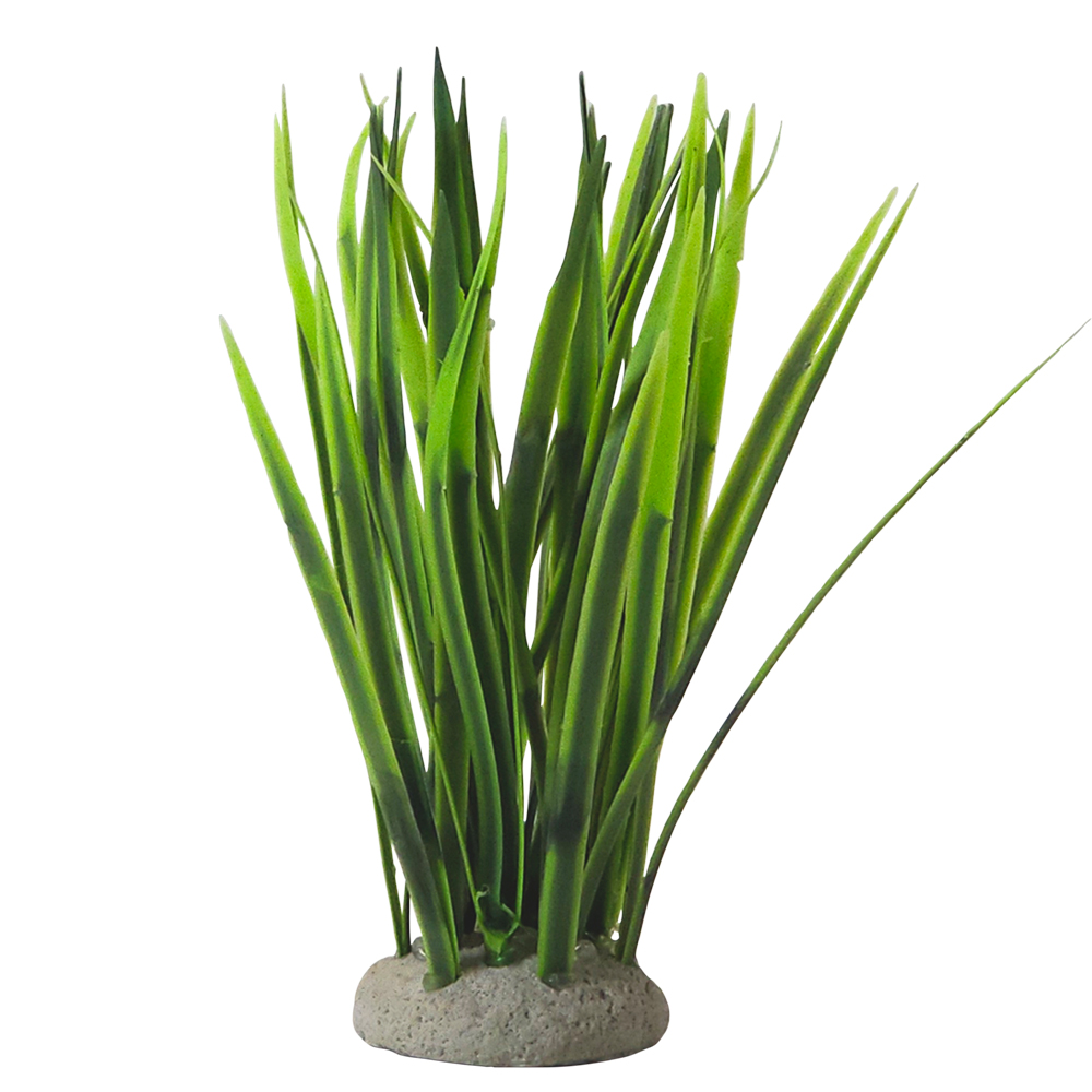 Nobby akvarijní dekorace VALLISNERIA 6,5 x 6,5 x 16 cm 1 balení