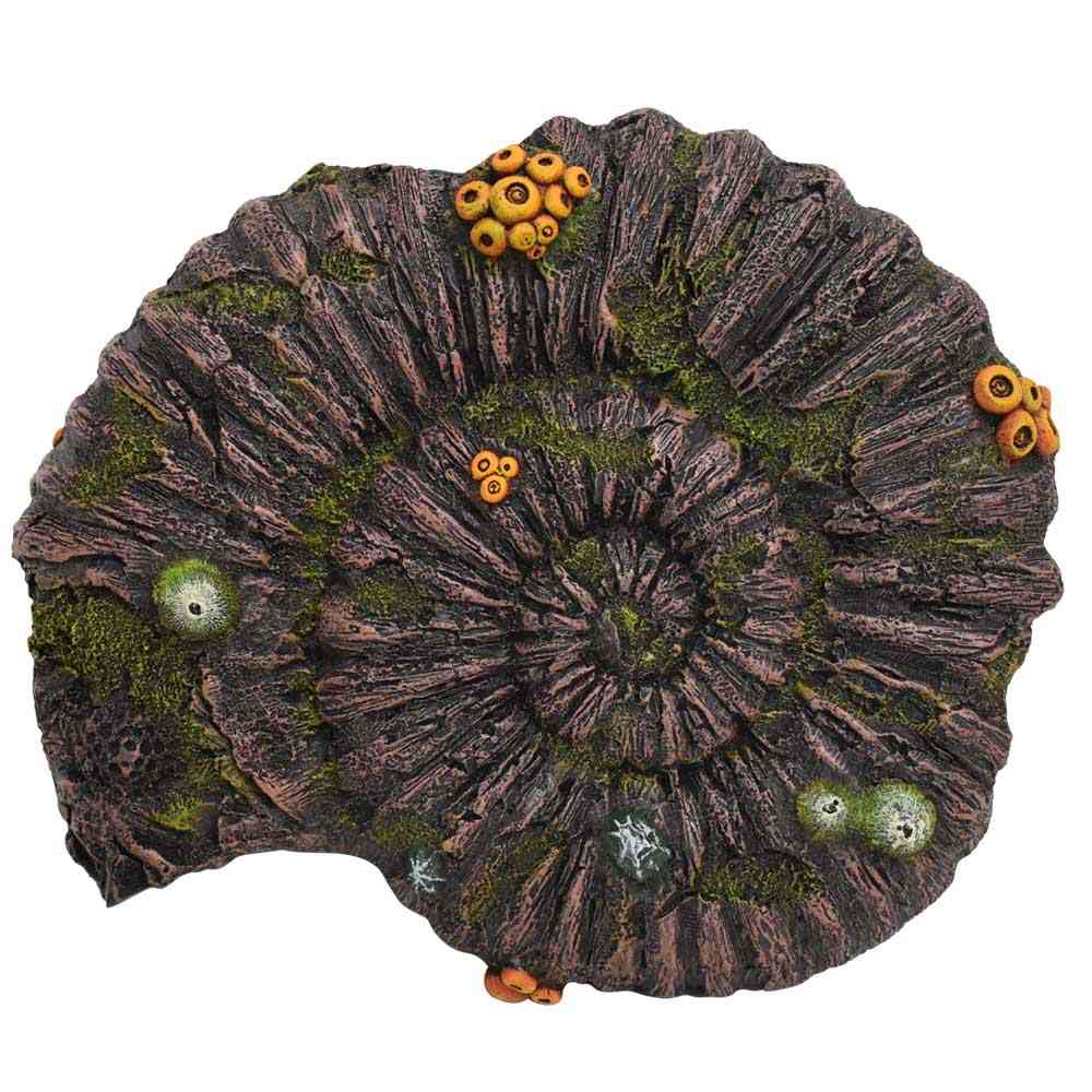 Nobby akvarijní dekorace FOSILIE 33,8 x 28,5 x 10 cm 1 balení