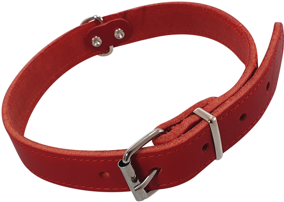 Nobby kožený obojek TABIL vel. L 46-56 cm červená 1 balení