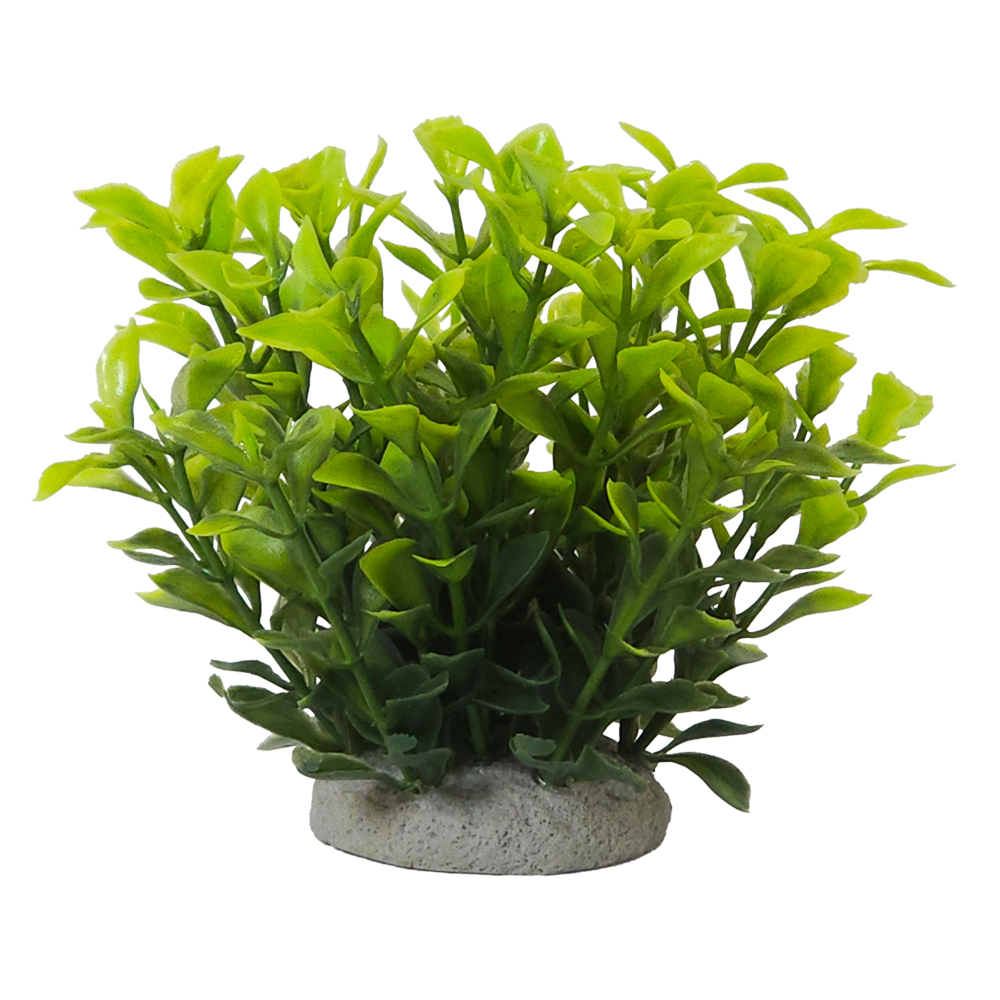 Nobby akvarijní dekorace LUDWIGIA GREEN 6,5 x 6,5 x 11 cm 1 balení